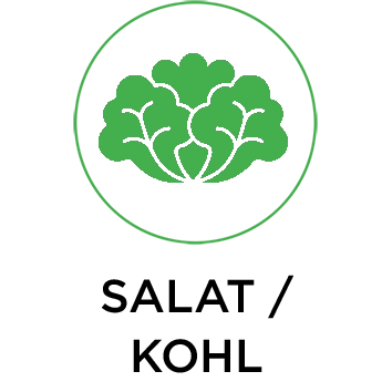 SALAT/KOHL